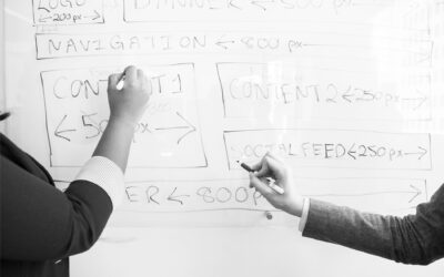 Consultancy (30 min.)